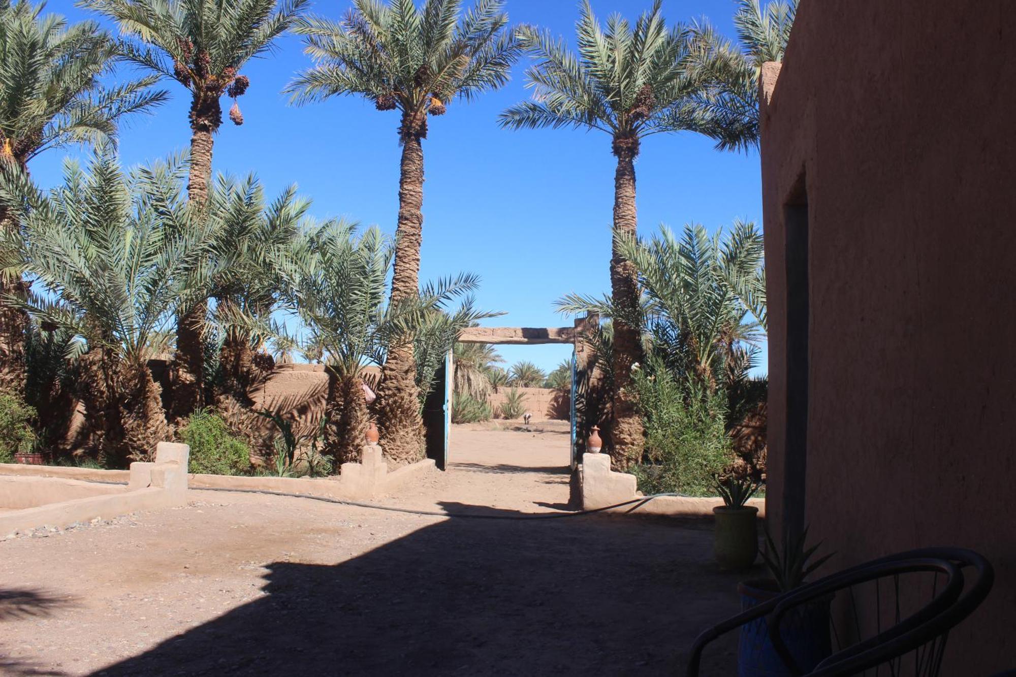 Kasbah Desert Camp M'Hamid Exteriör bild