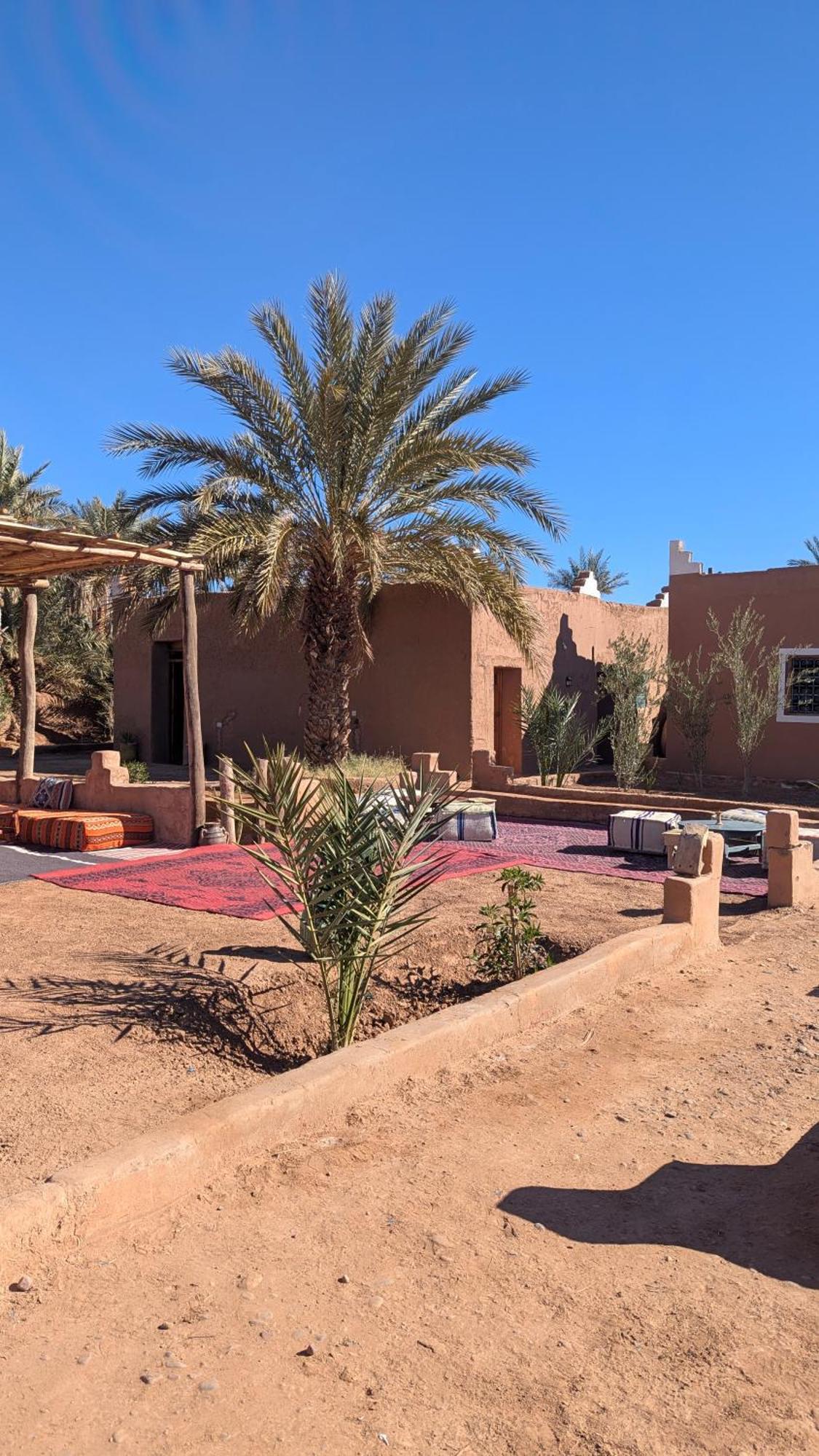 Kasbah Desert Camp M'Hamid Exteriör bild